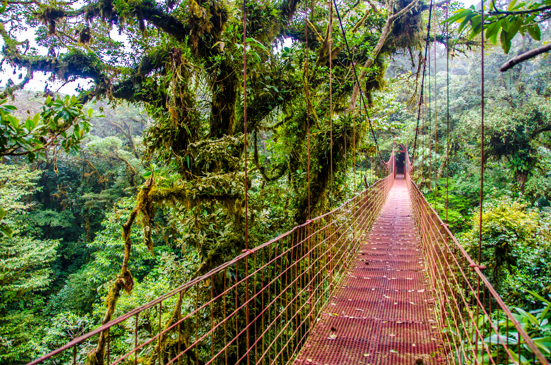 Explore the Incredible Costa Rica - Beyond Tourism
