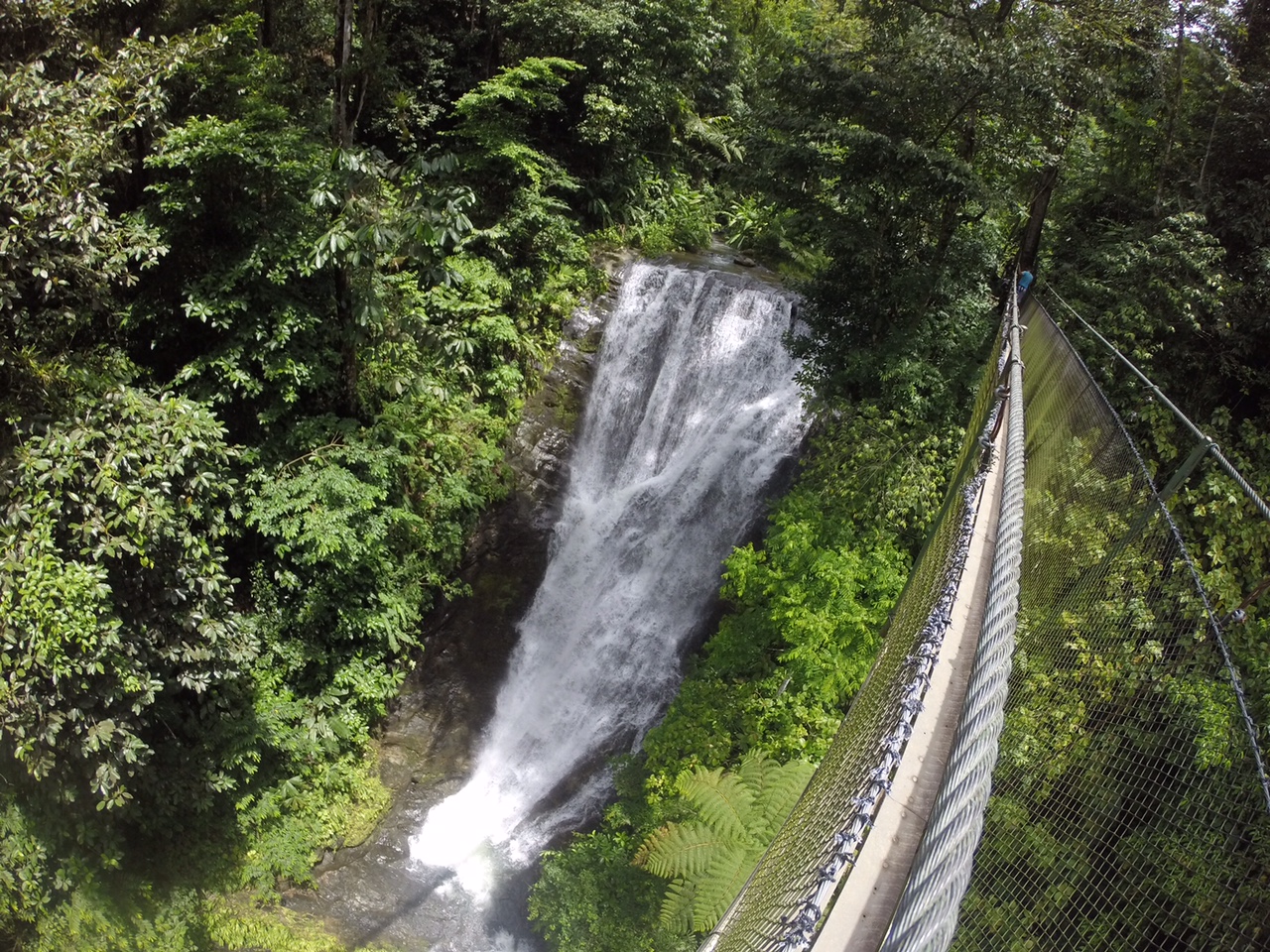 Hanging Bridges