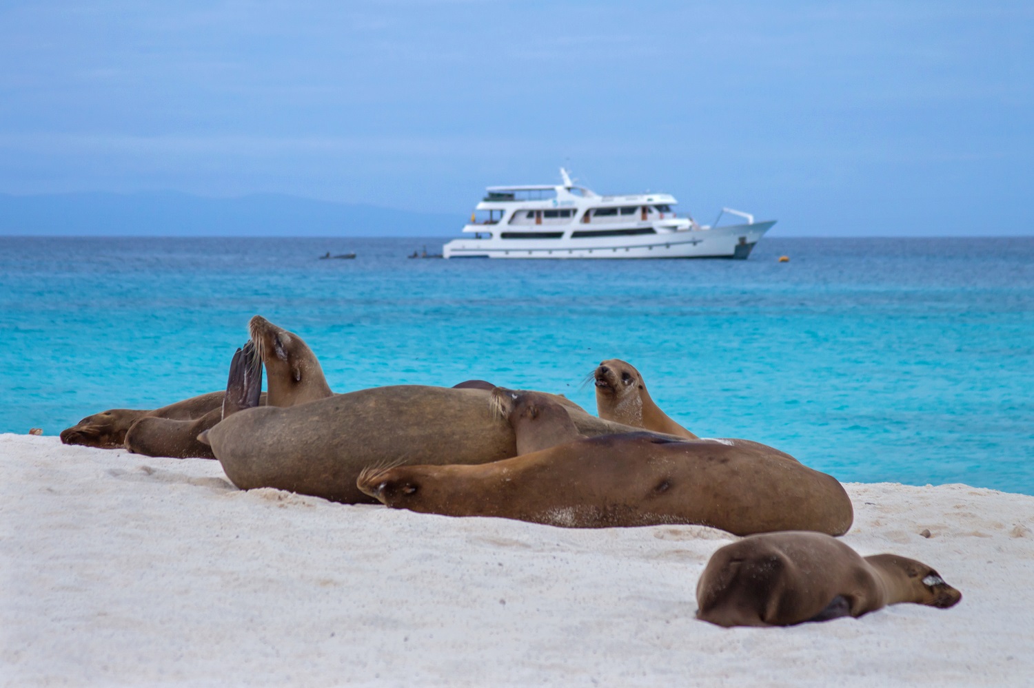 Galapagos Islands