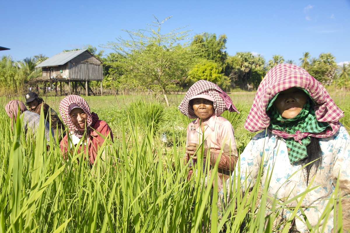 Hill Tribe Villages