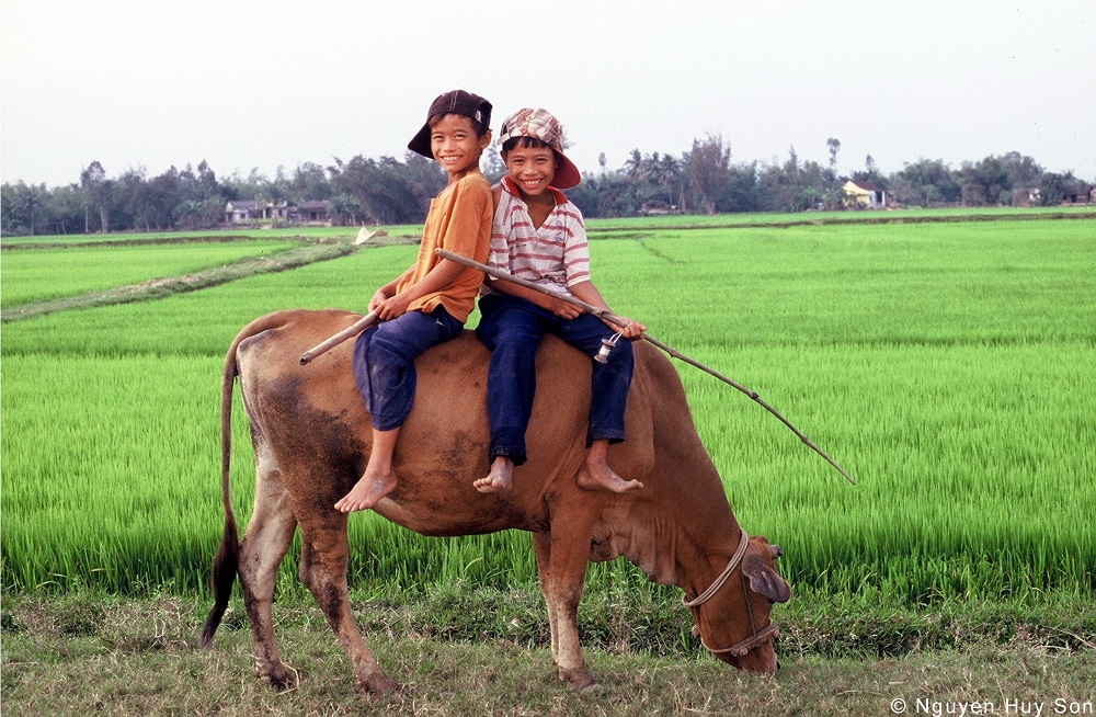 About Vietnam