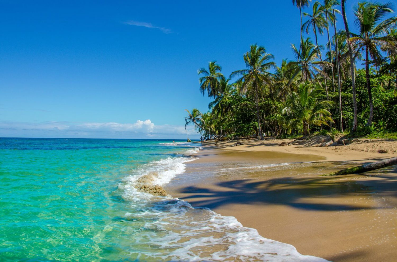 Beach Holidays