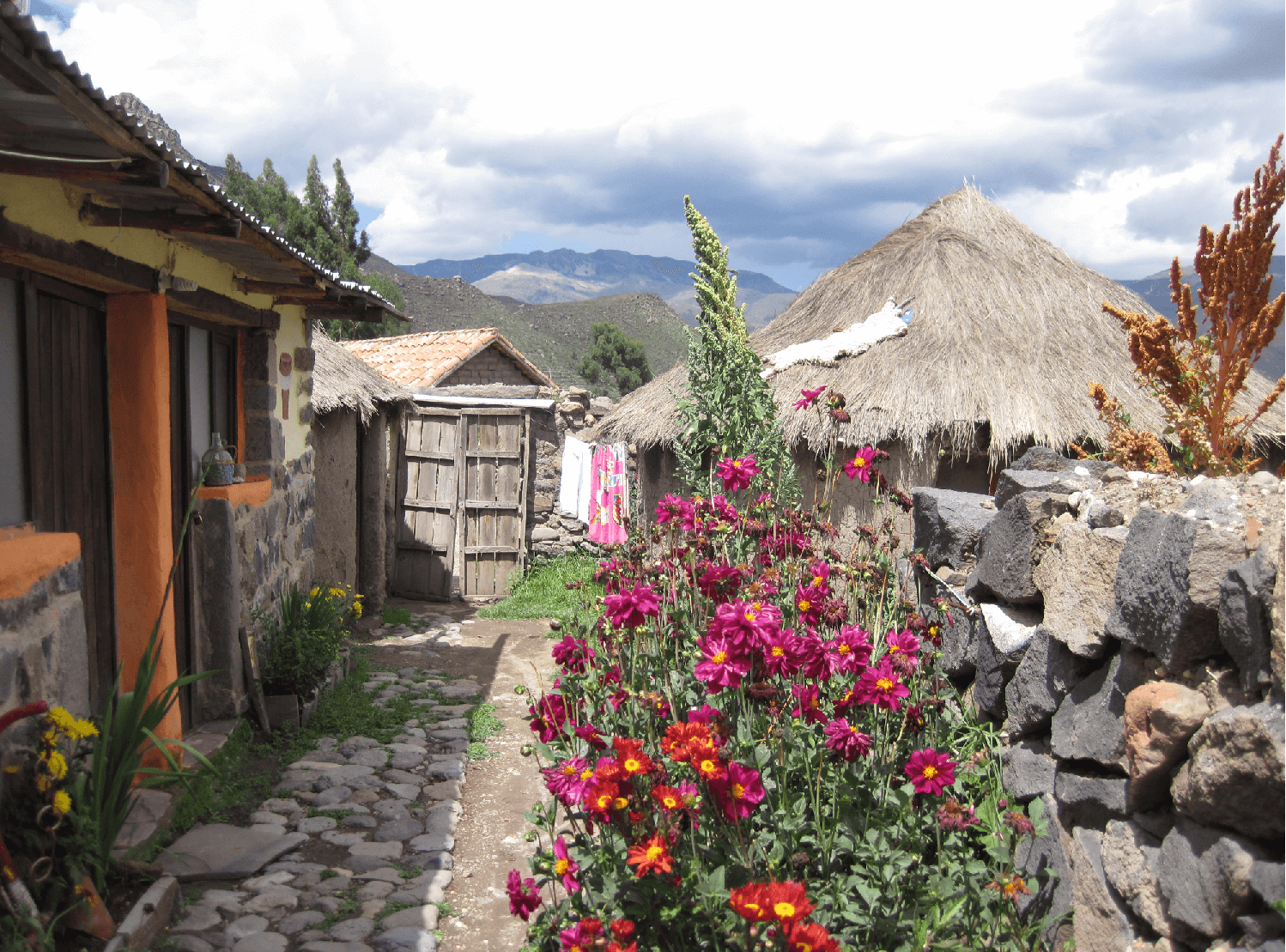 Colca Communities