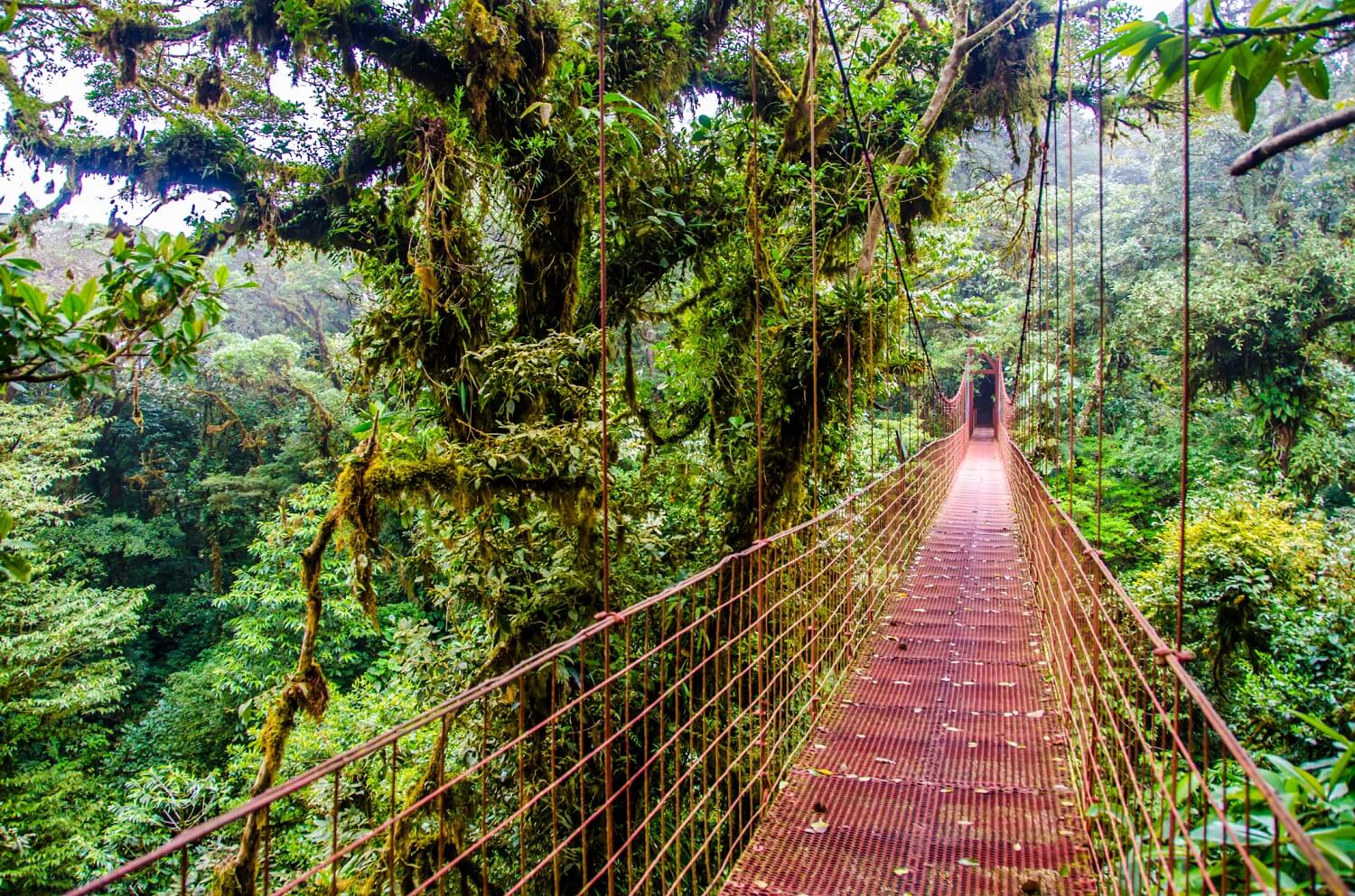 Costa Rica Highlights