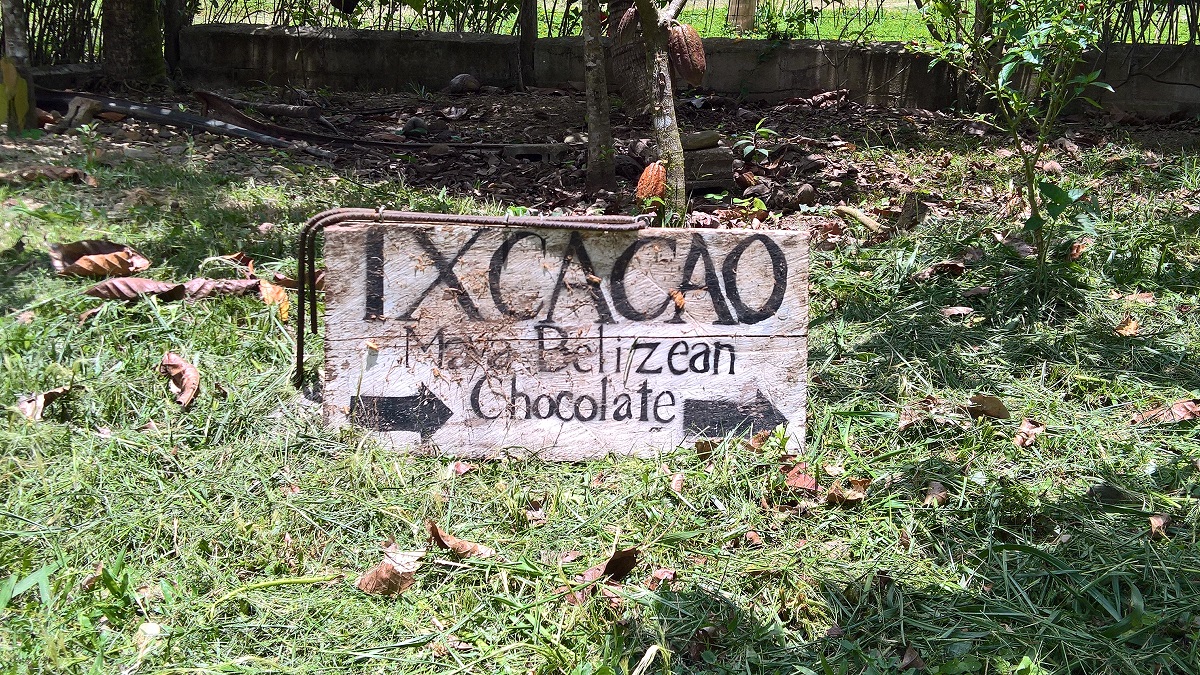 Mayan Chocolate