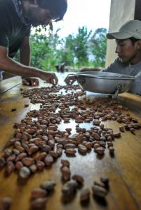coffee route Picture